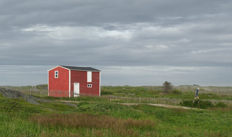 Sharon Lockhart, still from WINDWARD, 2025. 